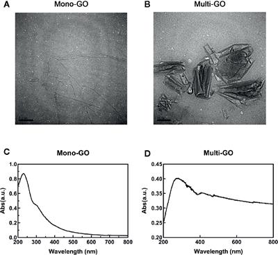 Cytotoxicity and Immune Dysfunction of Dendritic Cells Caused by Graphene Oxide